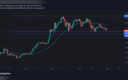 Charting a Course in the Aftermath of Bitcoin's Halving: Opportunities and Challenges Ahead