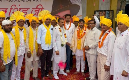 5000 Lights to be Installed in Narela Assembly Before Diwali - Dheeran Maan