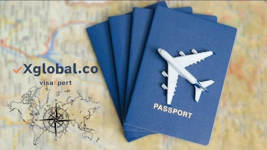 vXglobal.co: Revolutionizing Immigration Services with Integrity and Success