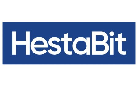 Transforming Tomorrow: HestaBit’s Action Plan for AI, SAP, and VR