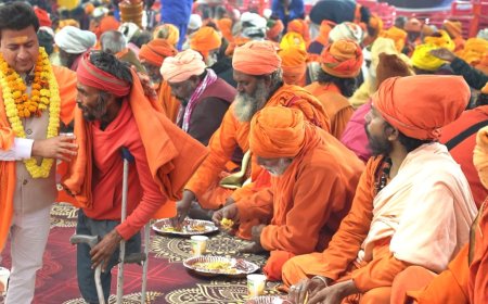 Narayan Seva Sansthan’s Mauni Amavasya Initiative: Bhandara, Blanket and Limb Distribution