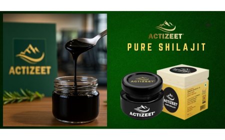 ACTIZEET Recognized Among Top Shilajit Brands in India for 2025 by Industry Experts