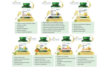 How Vollsante Is Making Plant-Based Nutrition Mainstream