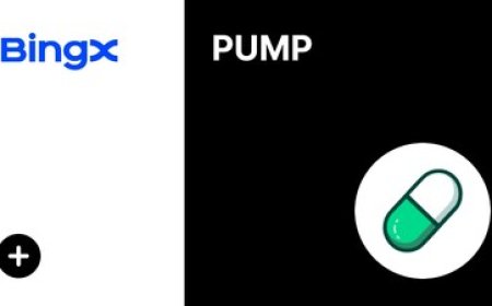 BingX Takes the Lead in Offering Trading Services for Pump.fun ($PUMP)