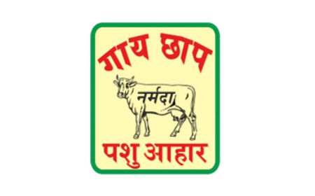 Narmada Agrobase Reports 1140 Bps QoQ Improvement in EBITDA Margin to 14.47% in Q1 FY26