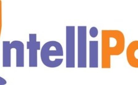 NIT Sikkim and Intellipaat Launch Industry-Focused Online Degree Programs to Build India's Future Tech Leaders