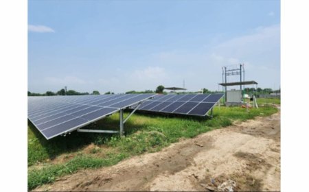 Bulkcorp International Limited Commissions Solar Power Plant as Part of Sustainability Initiative