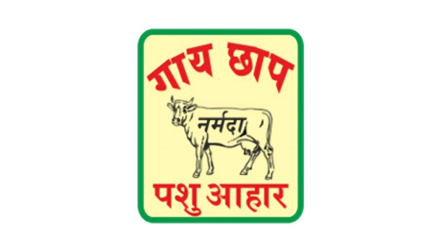 Narmada Agrobase Reports 1140 Bps QoQ Improvement in EBITDA Margin to 14.47% in Q1 FY26