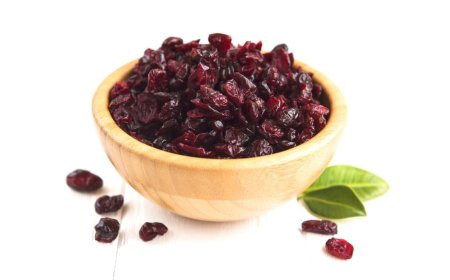 Polyphenol Power: How Cranberries Protect Teeth and Gums