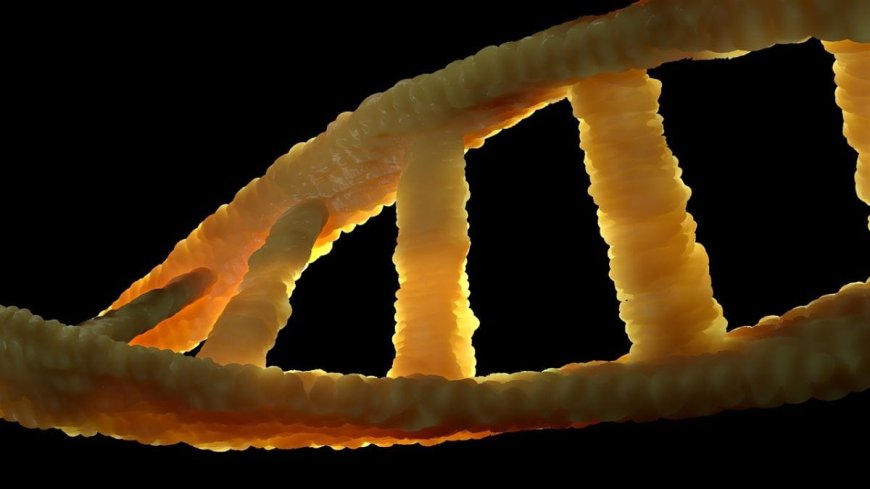 Stem Cell Therapy in Bangkok: A New Frontier for Regenerative Medicine