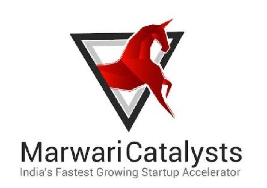 Not Just A Startup Accelerator