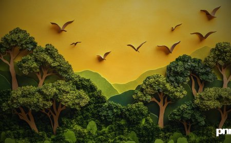 Namo Van Manesar and Land Reforms Drive Decisive Action in October 2025