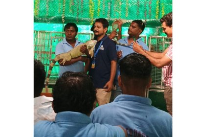 Dhun Charitable Trust, Dharmaj, and Daya Foundation, Karamsad Jointly Organize Unique Animal Welfare Program