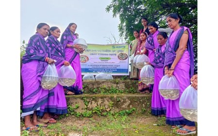 Vedanta Lanjigarh Creates New Income Stream for Farmers with Pisciculture Initiative under Project Sangam