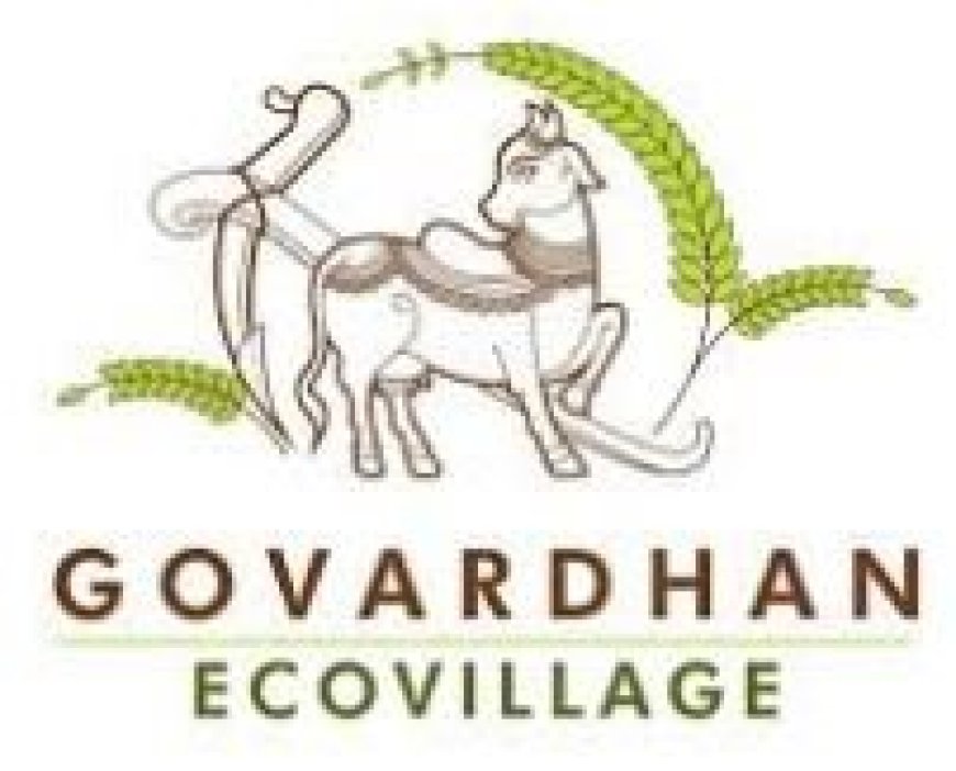 Metabolically active visceral fat linked to aggressive endometrial cancer, new study reveals