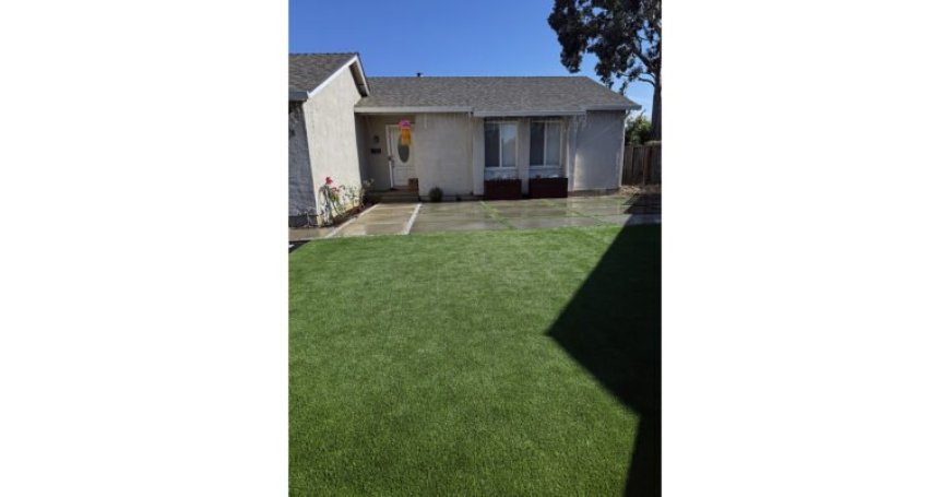 Lush Artificial Grass Transforms Pet-Friendly California Home