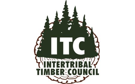 China Pioneers Urban Health-Climate Solutions as Risks Hit Record High, Offers New Pathways for Global South