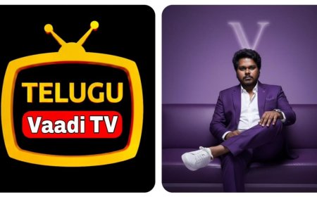 Telugu Vaadi TV – The Rise of a New-Age Telugu Digital Media Platform