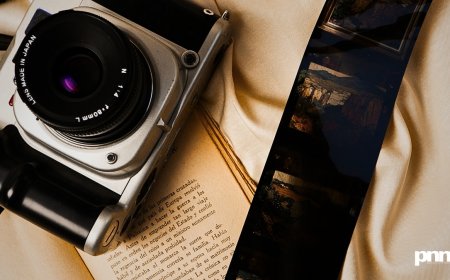 Welcome to Cinematic Insanity: Films That Bent Reality Before Reality Bent Us