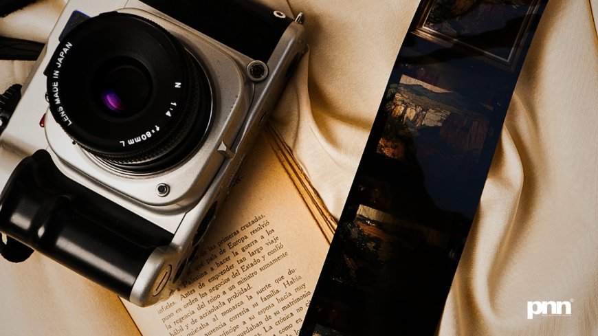 Welcome to Cinematic Insanity: Films That Bent Reality Before Reality Bent Us