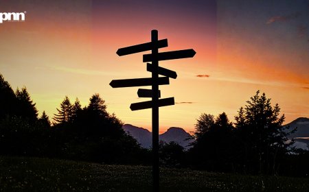 When Screens Decide The Menu: How Entertainment Quietly Hijacked Lifestyle Choices In 2025