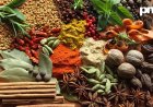 The Quest for Pepper: A Brief History of Modern Spices