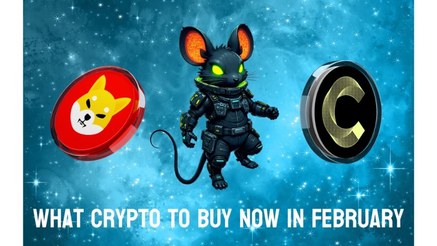 What Crypto To Buy Now in February as Prices Are Down: Shiba Inu and Canton Make Sense, but DeepSnitch AI Is the Most Explosive 100x Deal