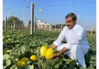 Mekala Shiva Shankar Reddy: The Farmer Innovator Transforming Drought-Hit Anantapur into a Hub of Profitable Agriculture