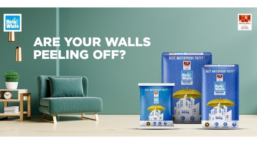 Ever Wonder Why Fresh Paint Starts Peeling, Your Walls Might Be Fine but Are They Built to Last